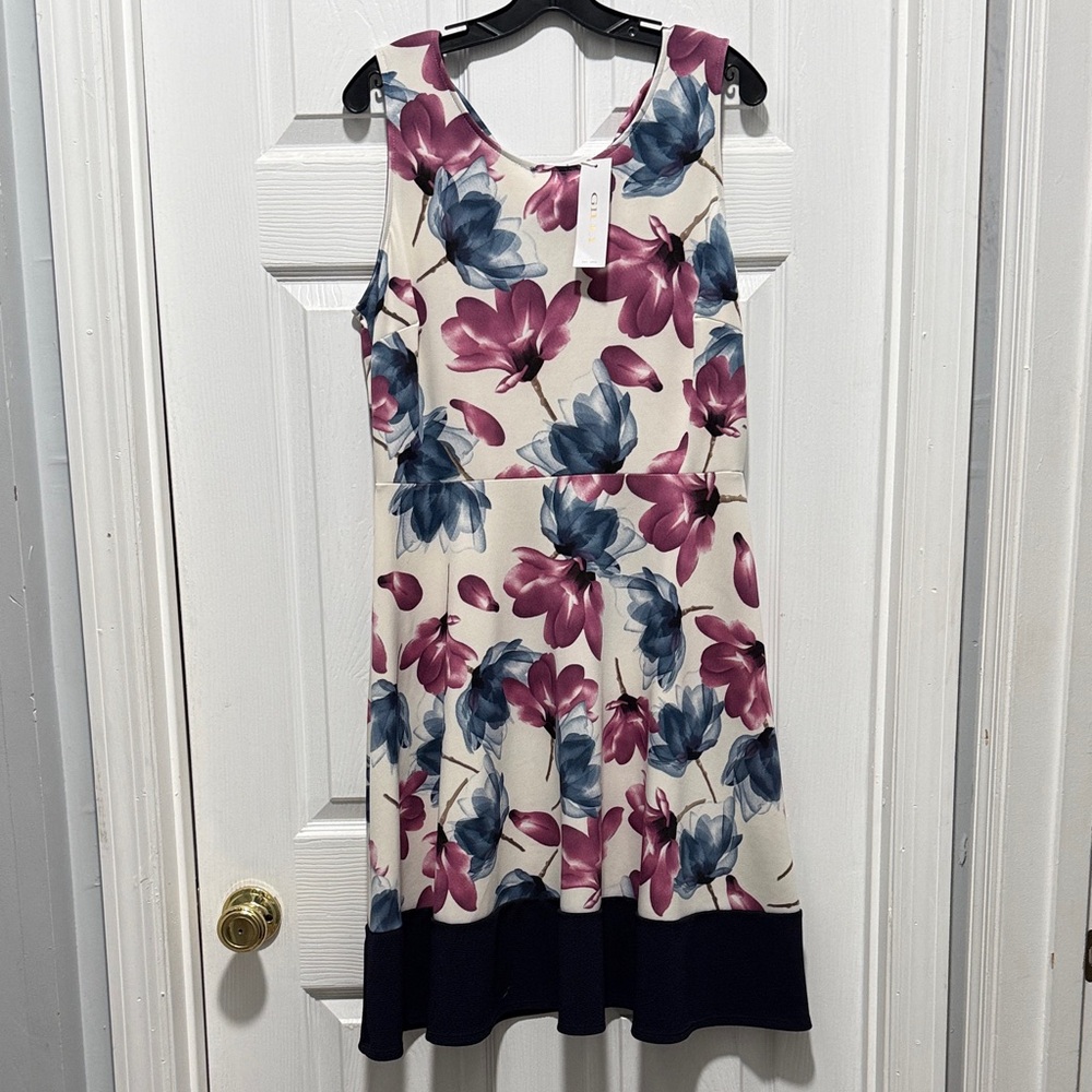 NWT Gilli Floral Midi Dress - Cream, Pink, and Blue